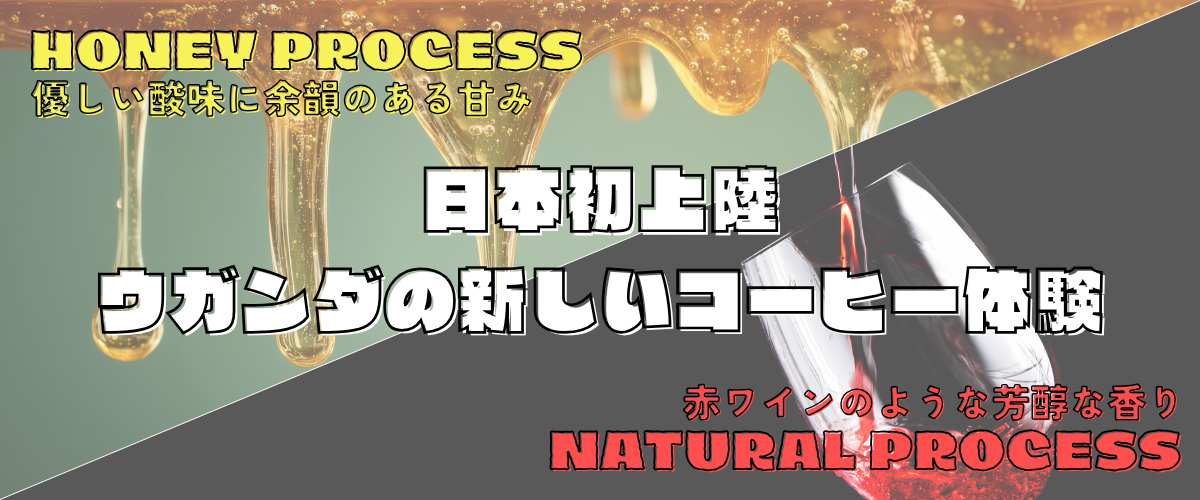 ウガンダナチュラル・ハニー